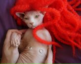 №8 Доминика Вендер 05.01.1984: профиль, фото, статус - ВКонтакте №8 Доминика Вендер 05.01.1984: профиль, фото, статус - ВКонтакте