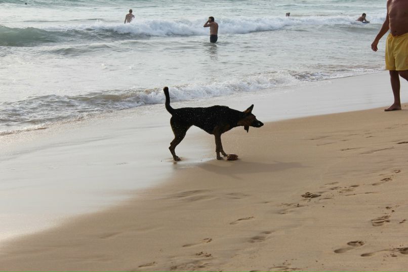 Марго Шангареева | Санкт-Петербург