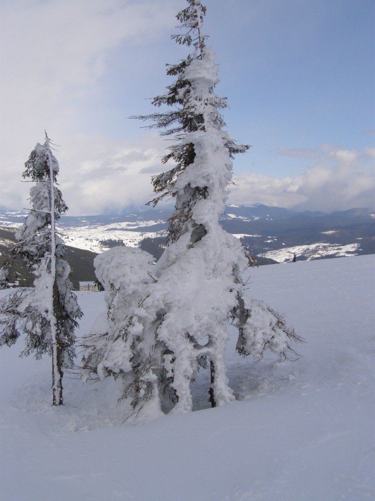 Sergey Kudrenko | Харьков