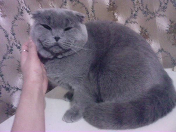 №98, Юлия Фролова, Воронеж №98, Юлия Фролова, Воронеж