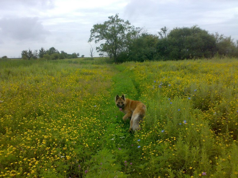 Андрей Гуцалюк | Уссурийск