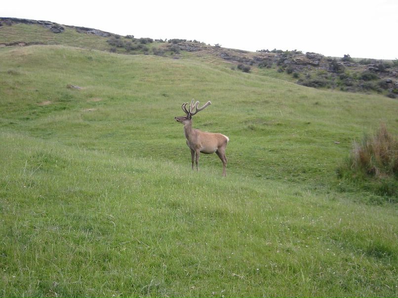 Александр Голубев | Саратов