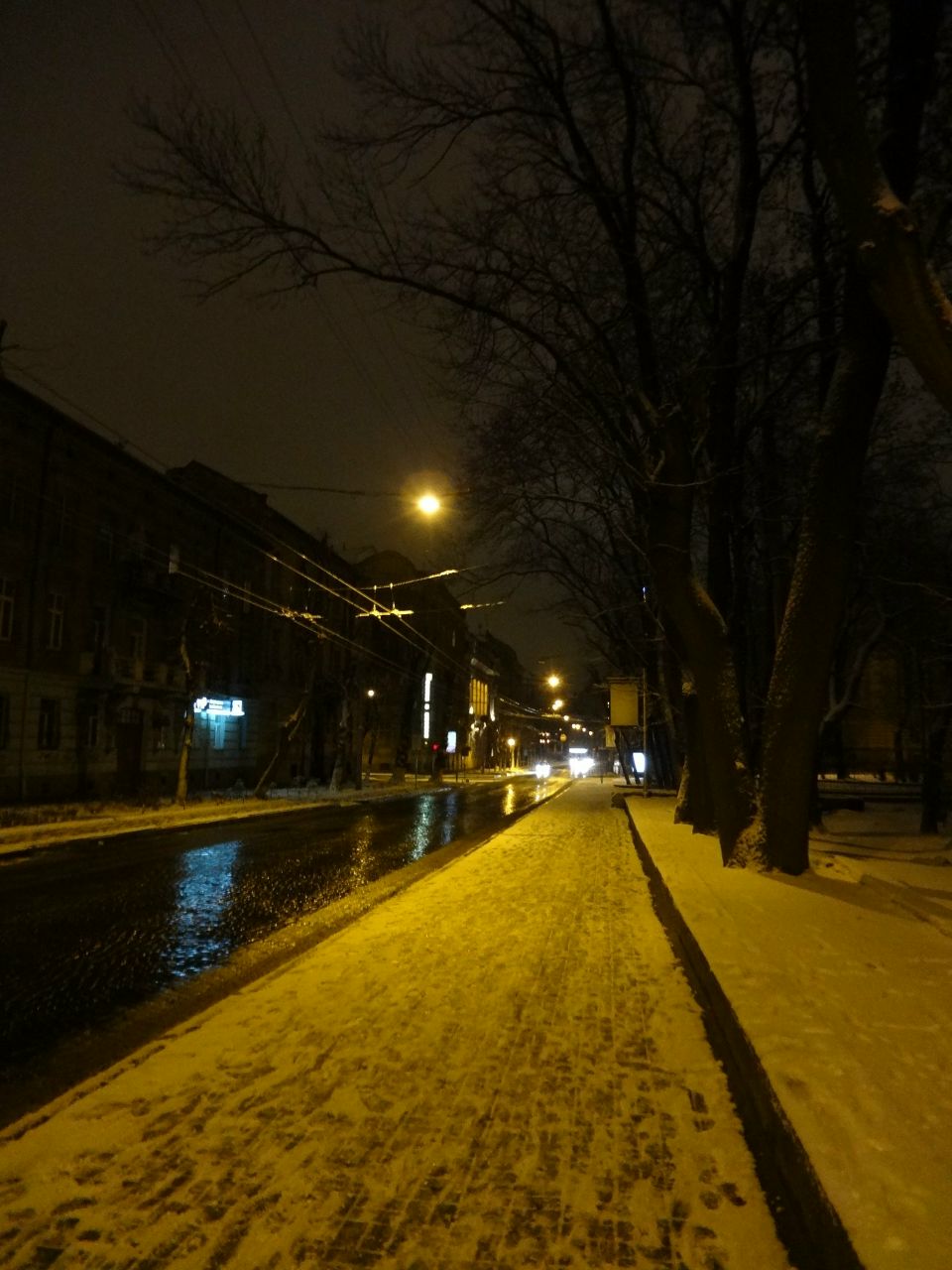 Дина Головченко | Львов