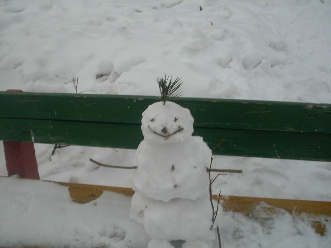 Оля Солтус | Тольятти