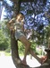 Владка Нурматова фотография #26