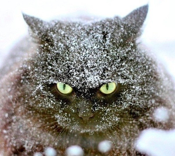 Наталья Коурова | Екатеринбург