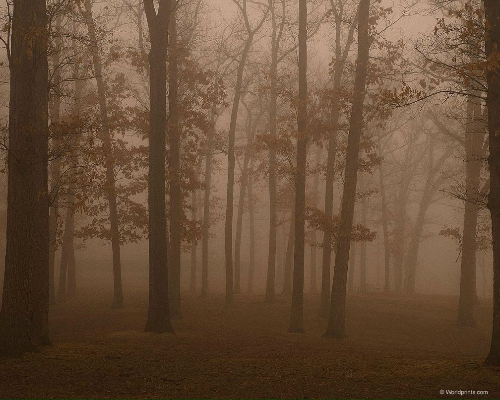 Мария Туленкова | Магнитогорск