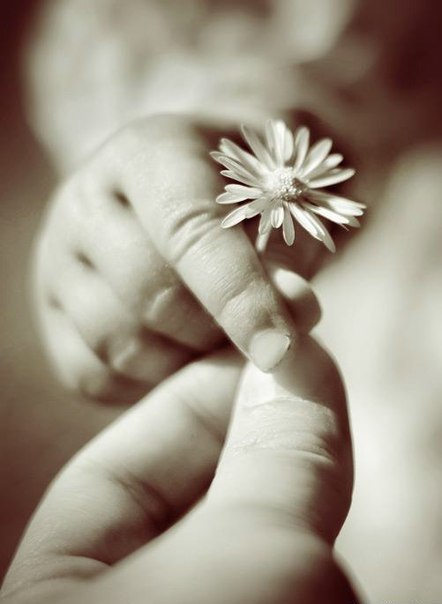 Оля Волошка | 