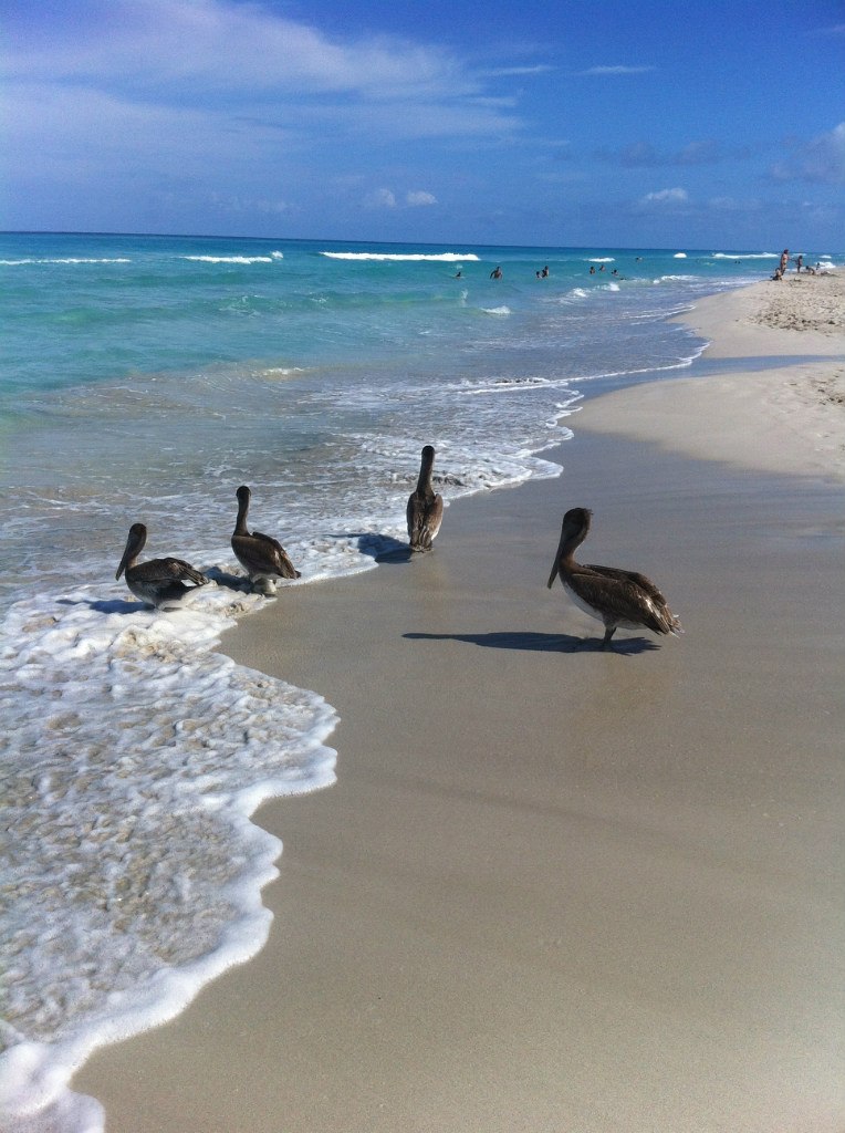 Дарья Корчмидт | Москва