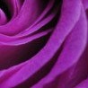№103, Наталья Аджигитова, 58 лет, Астана №103, Наталья Аджигитова, 58 лет, Астана