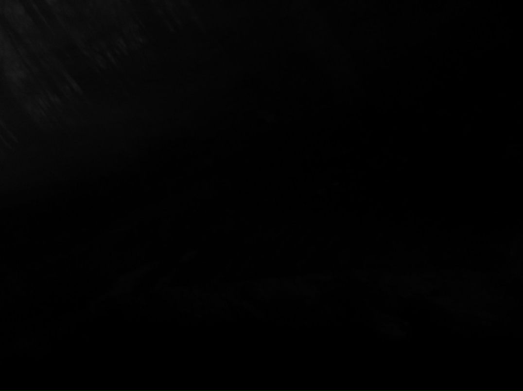 Полено Кутаг | Балтийск