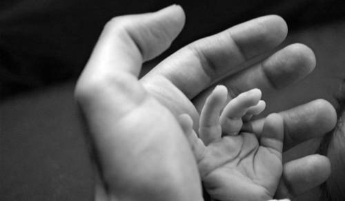 Виктория Мальчихина | 