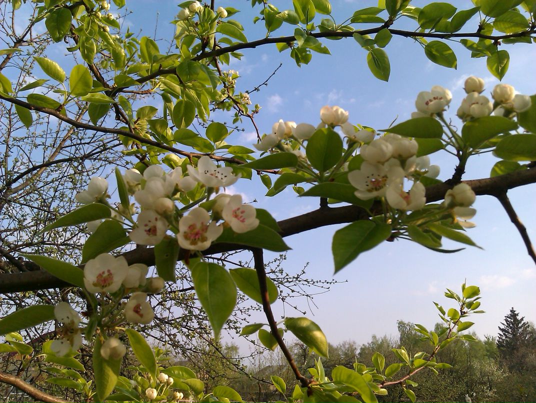 Сергей Радионов | 
