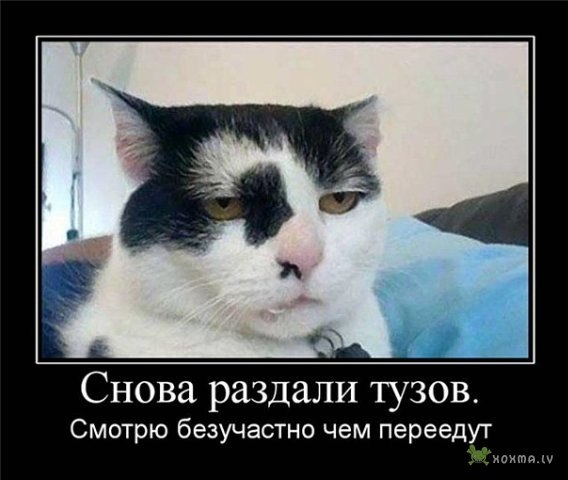 Александр Проскуряков | Екатеринбург