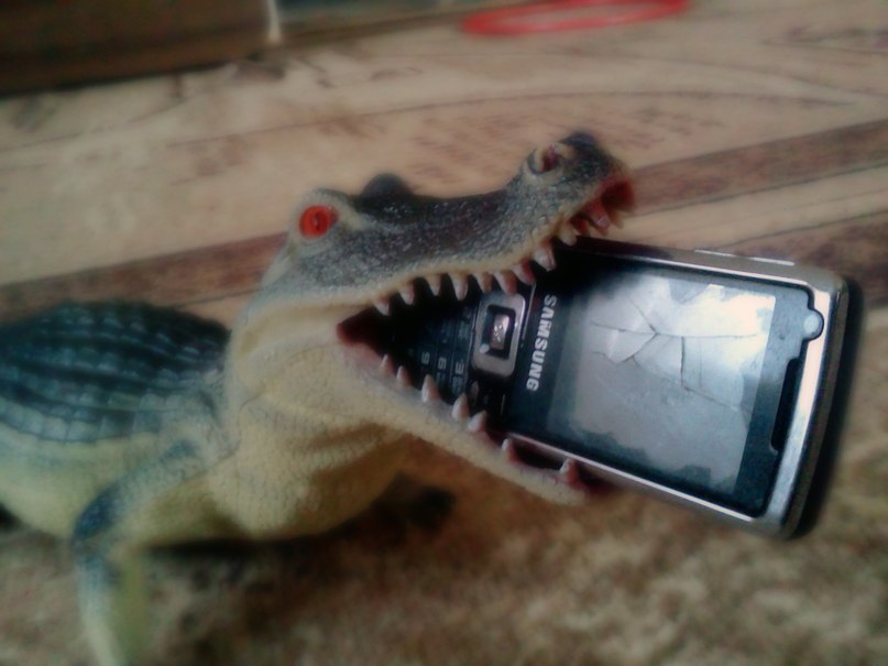 Николай Морозов | Пестово