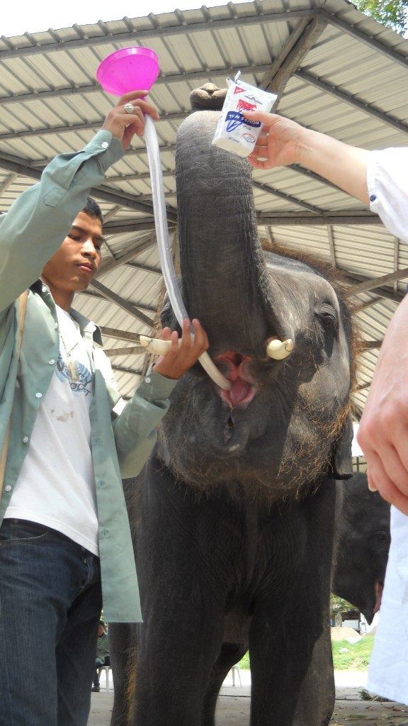 Маргарита Ведерникова | Днепр (Днепропетровск)