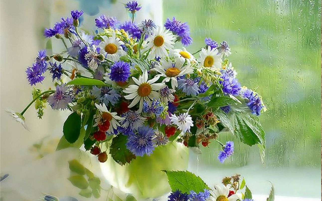 Наталья Ежевикова | Уфа