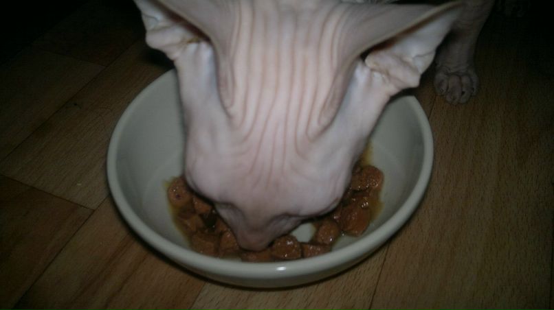 Илья Бухтояров Escape! | Клин