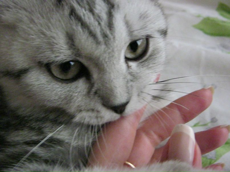 Анастасия Голованова | Рязань