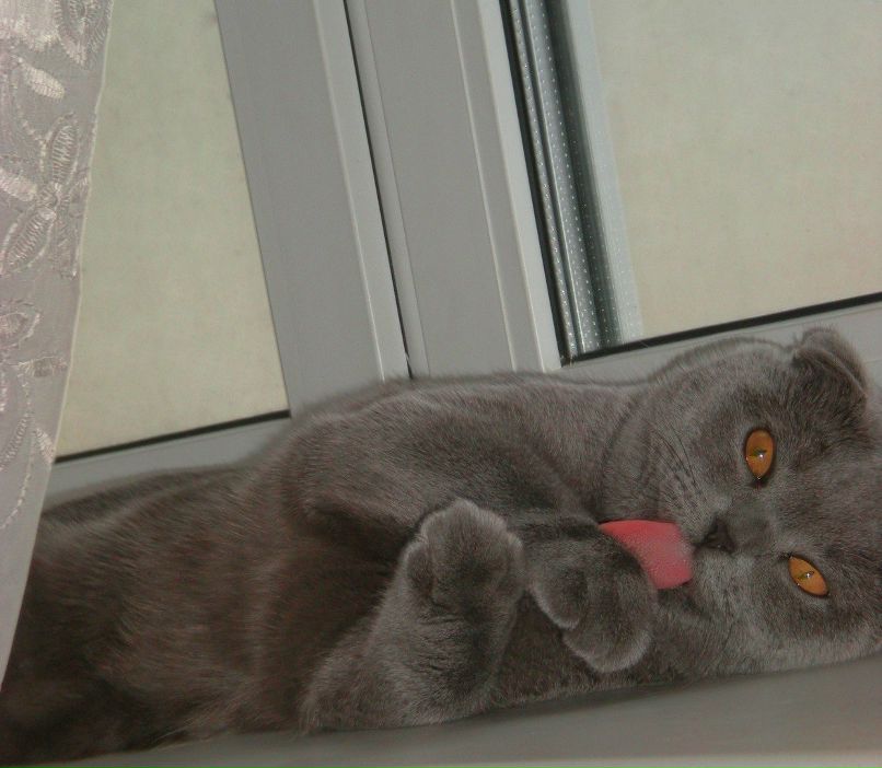 Олеся Емельянова | Москва