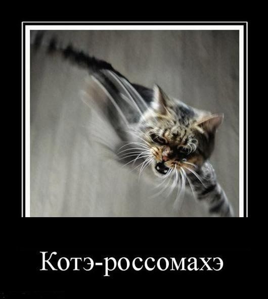 Василий Алейников Iron Man | Красноярск