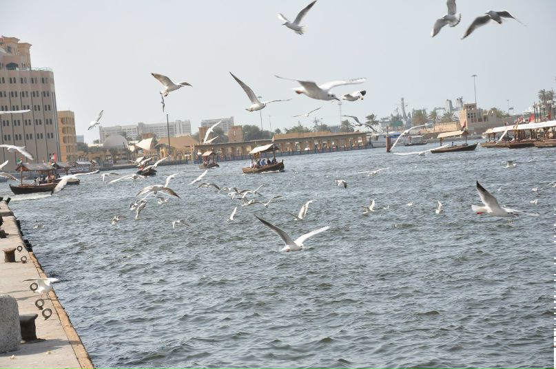 Ксения Губарь | Москва