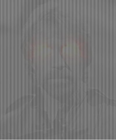 Кирилл Саченков | Архангельск