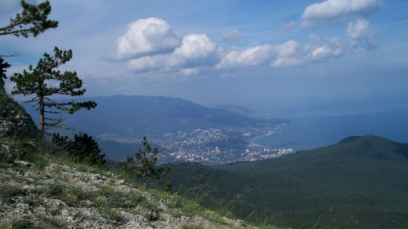 Together Forever | Киев