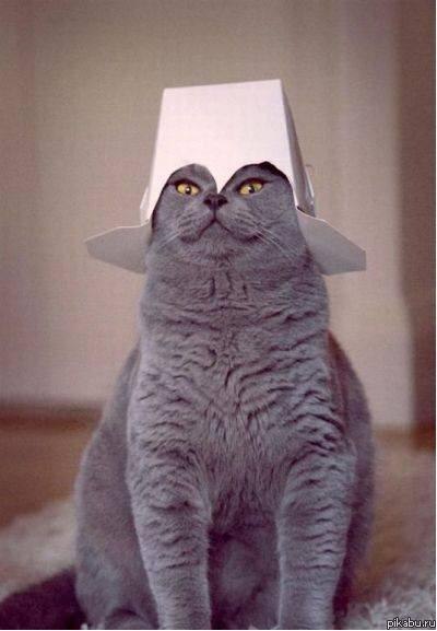 Михаил Передереев | Нижневартовск