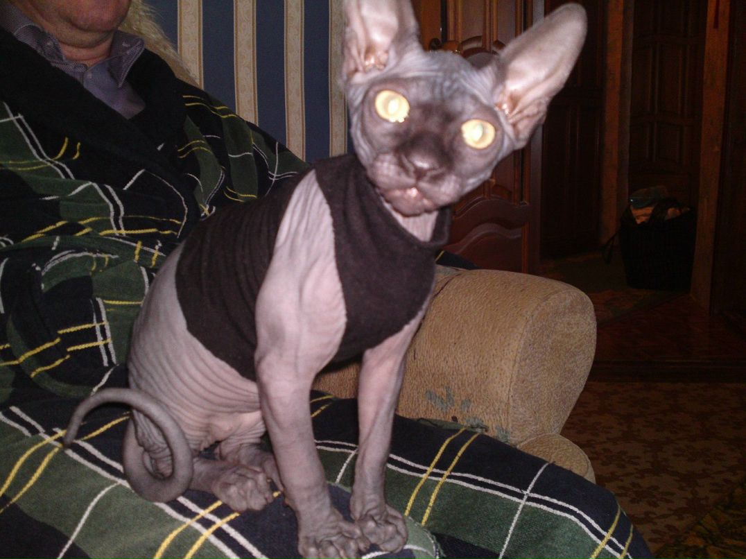 Марина Петрова | Саратов