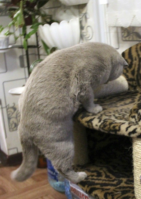 Федор Удавиченко | Тюмень