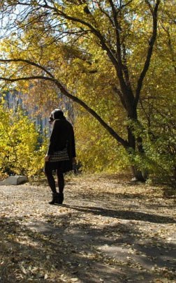 Айгуль Шагдырова | 