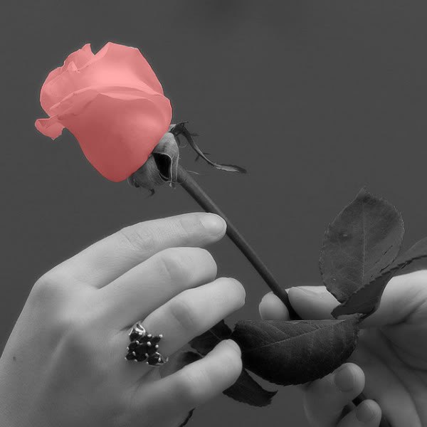 Татьяна Шумилова | Сыктывкар