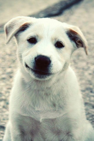 Надя Кибакова | Одесса