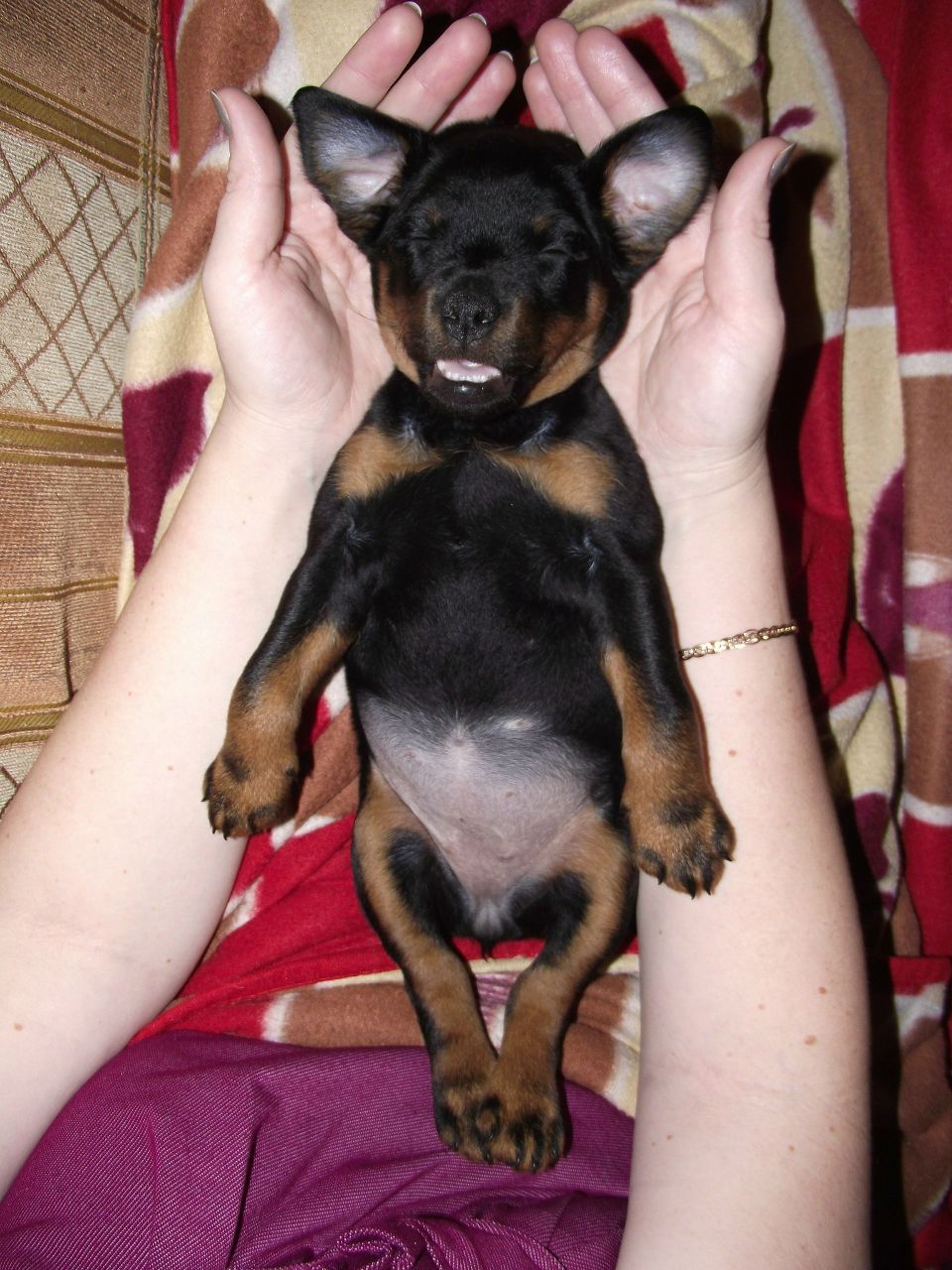 Валерия Дымочко | Москва