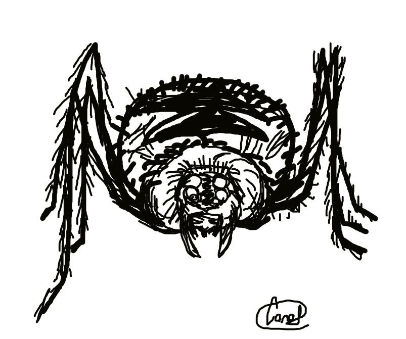 Дарья Соловьева | 