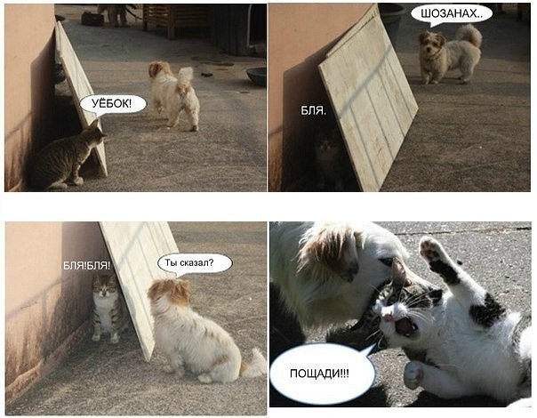 Дима Леонов | Ростов-на-Дону