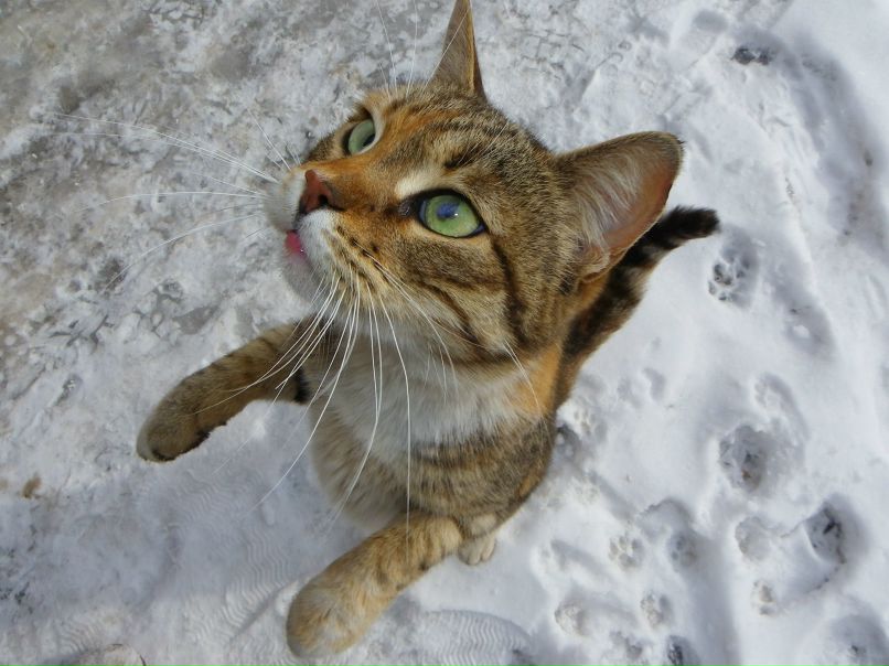 Валерия Штепа | Киев