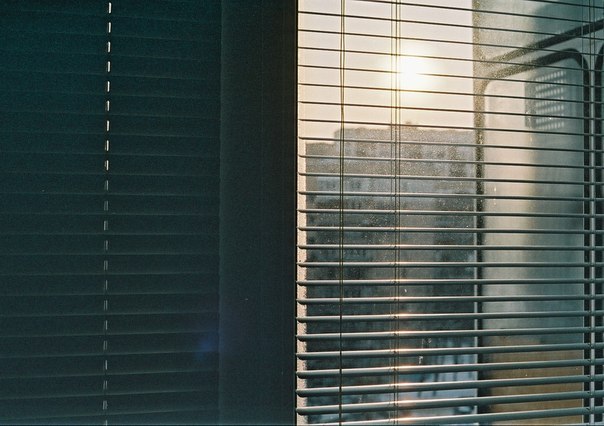 Николай Юстицкий | Киев