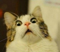 Артем Могильников | Черноголовка