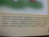 Фотография Дамир Закиров