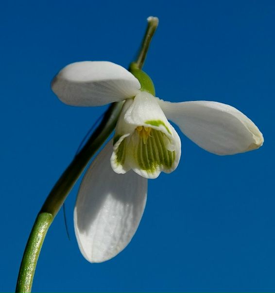 №82, Денис Никитюк, 41 год, Винница №82, Денис Никитюк, 41 год, Винница