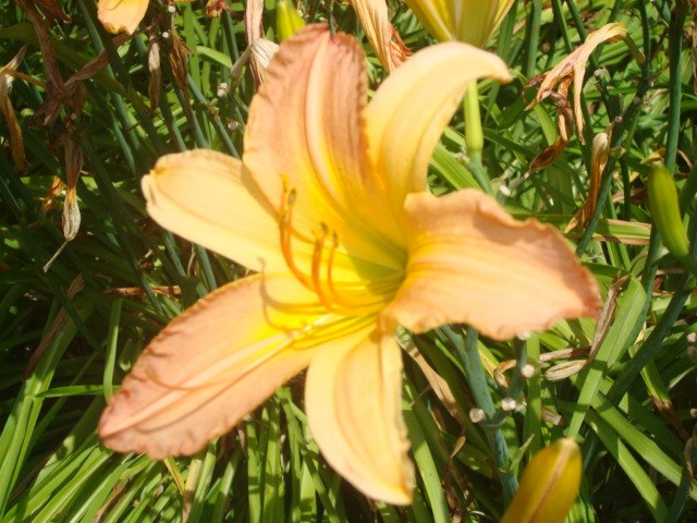 Елена Рыбачук | Москва