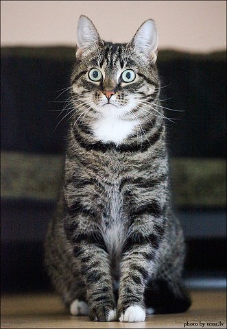 Наталія Глущенко | Киев