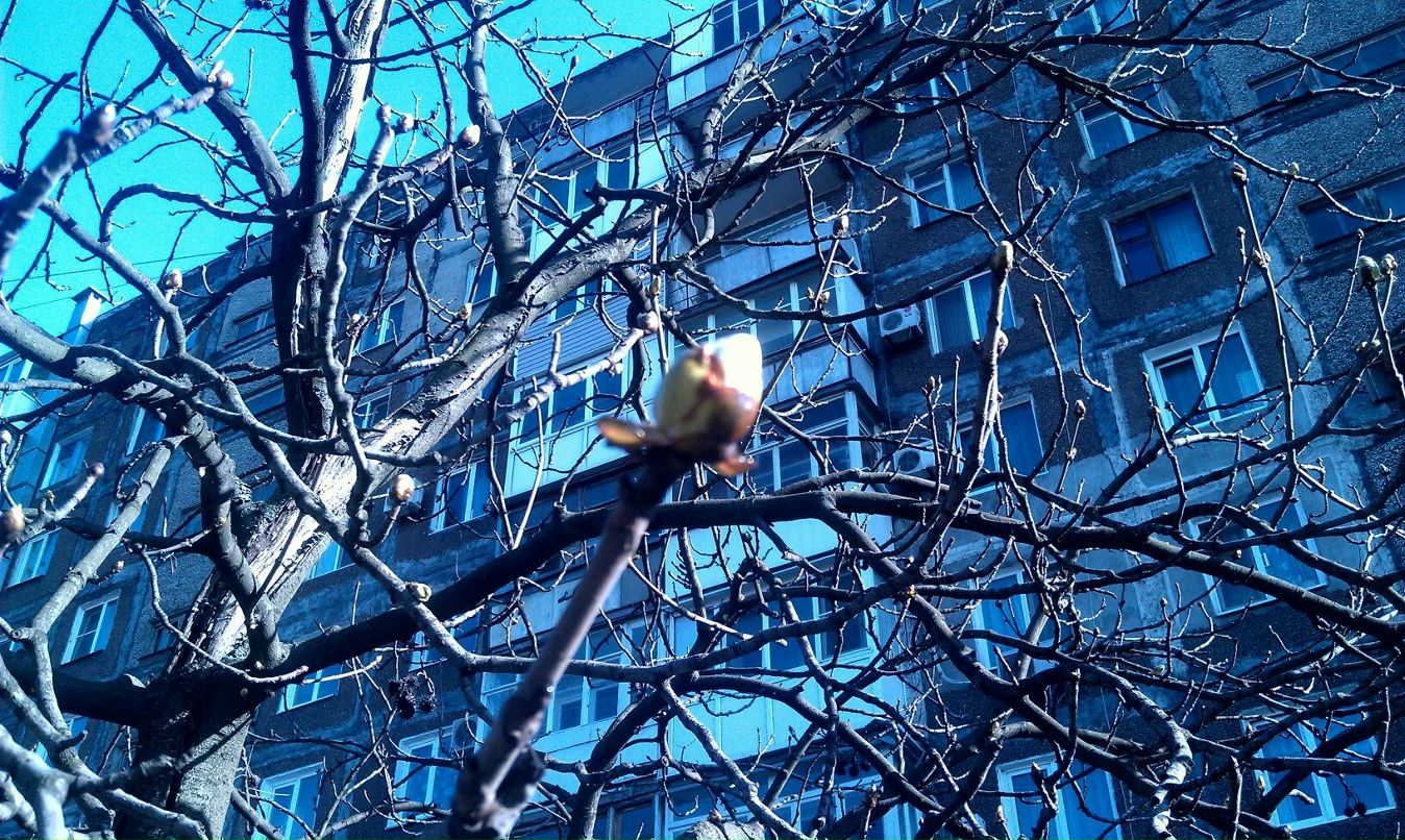 Оксана Драганова | Мариуполь