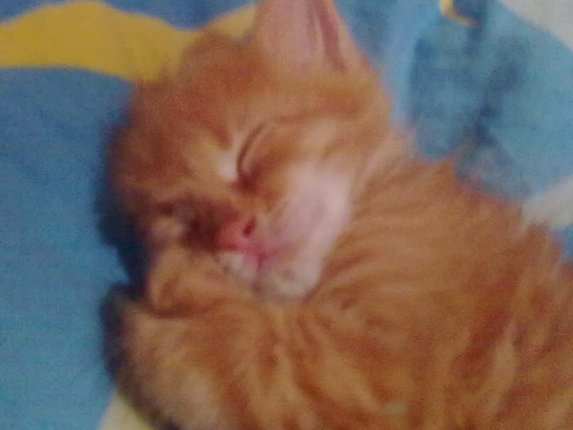 Александра Барышникова | Волгоград