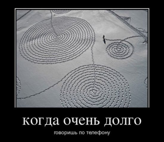 Никита Шавергин | Калуга