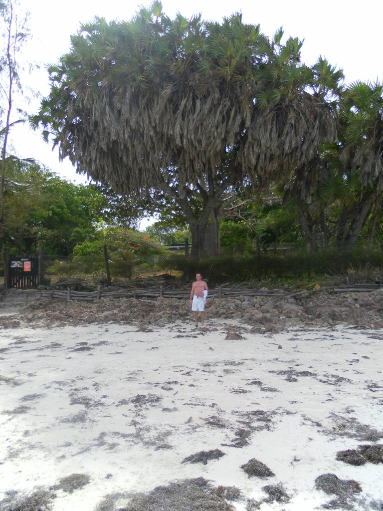 Петр Гребнев | Victoria