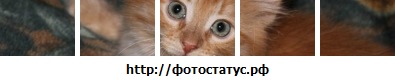 Лариса Браун фото со стены #1
