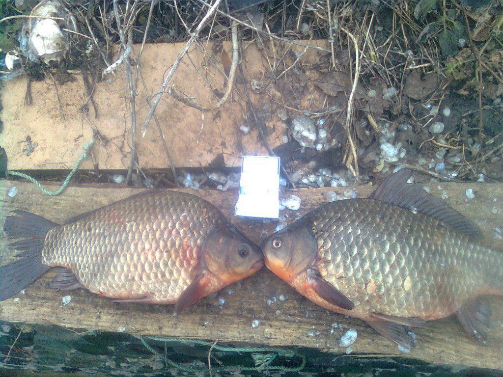 Артем Мілевський | Киев